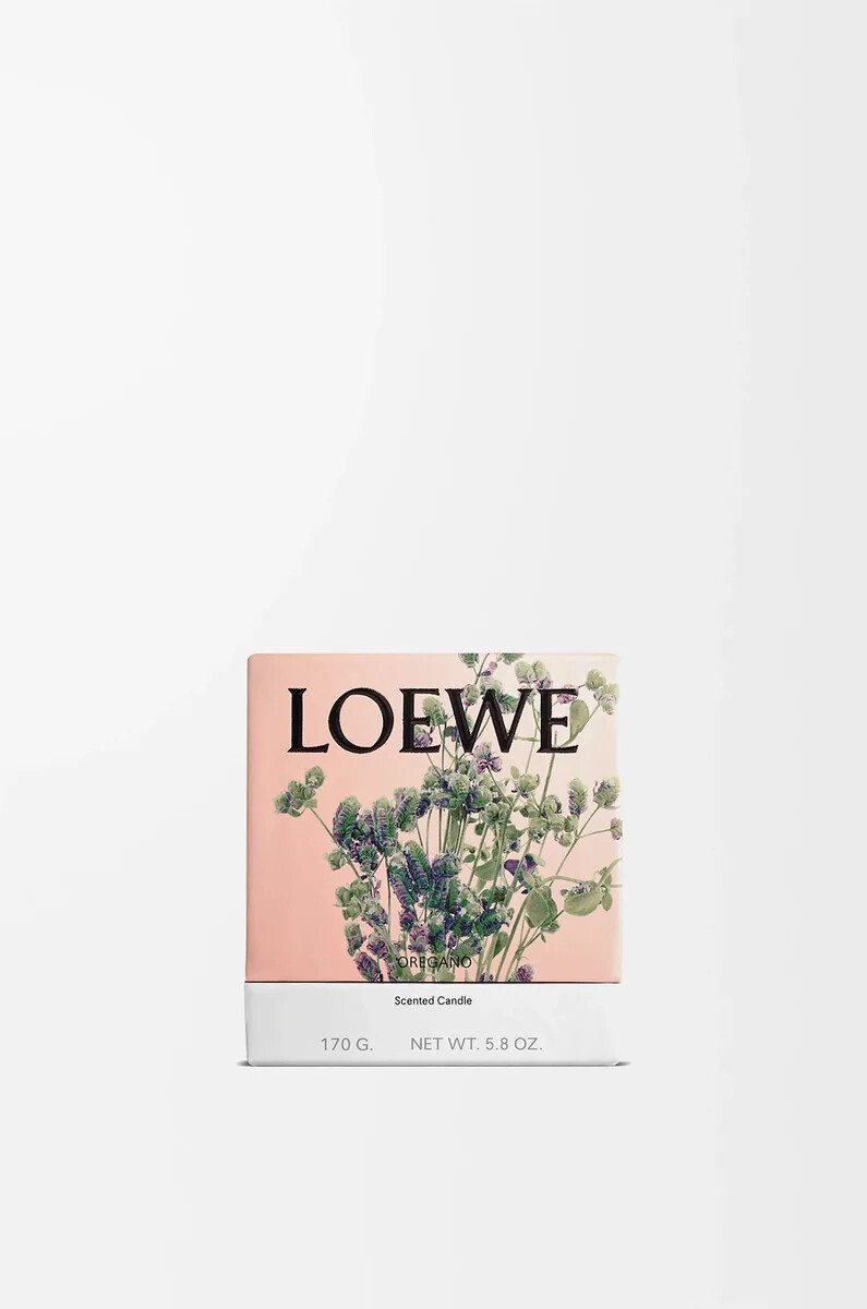 kleine oregano-kerze weiß
