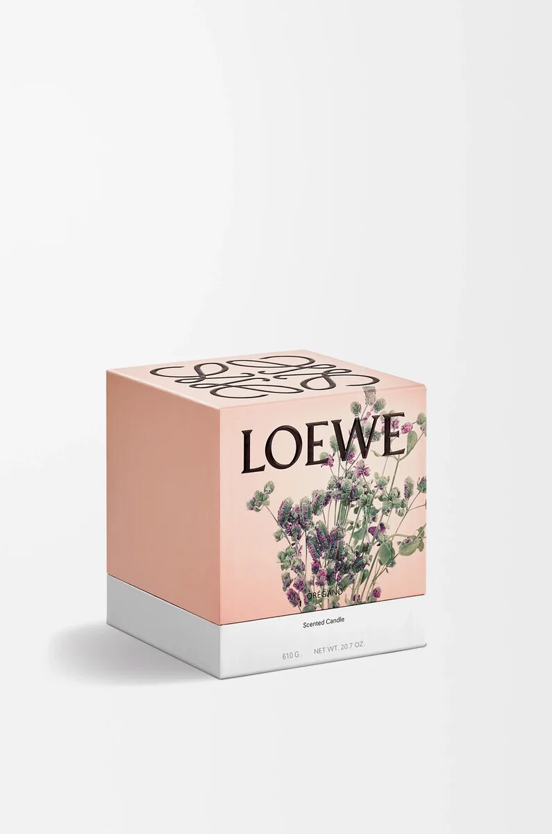 mittelgroße oregano-kerze weiß