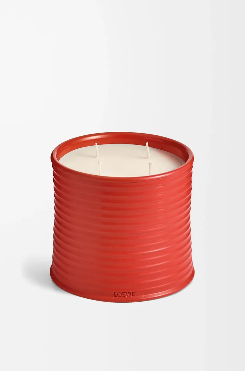 große tomatenblätter kerzenrot