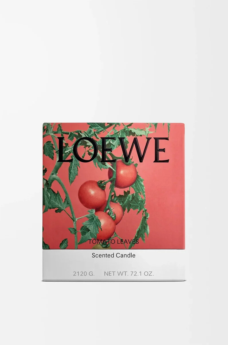 große tomatenblätter kerzenrot