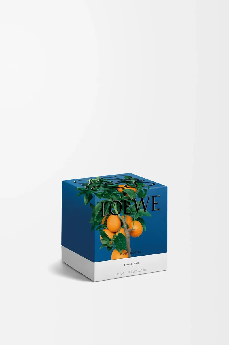 kleine orangenblütenkerze helle mandarine