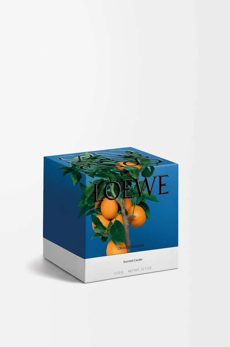 mittlere orangenblütenkerze helle mandarine