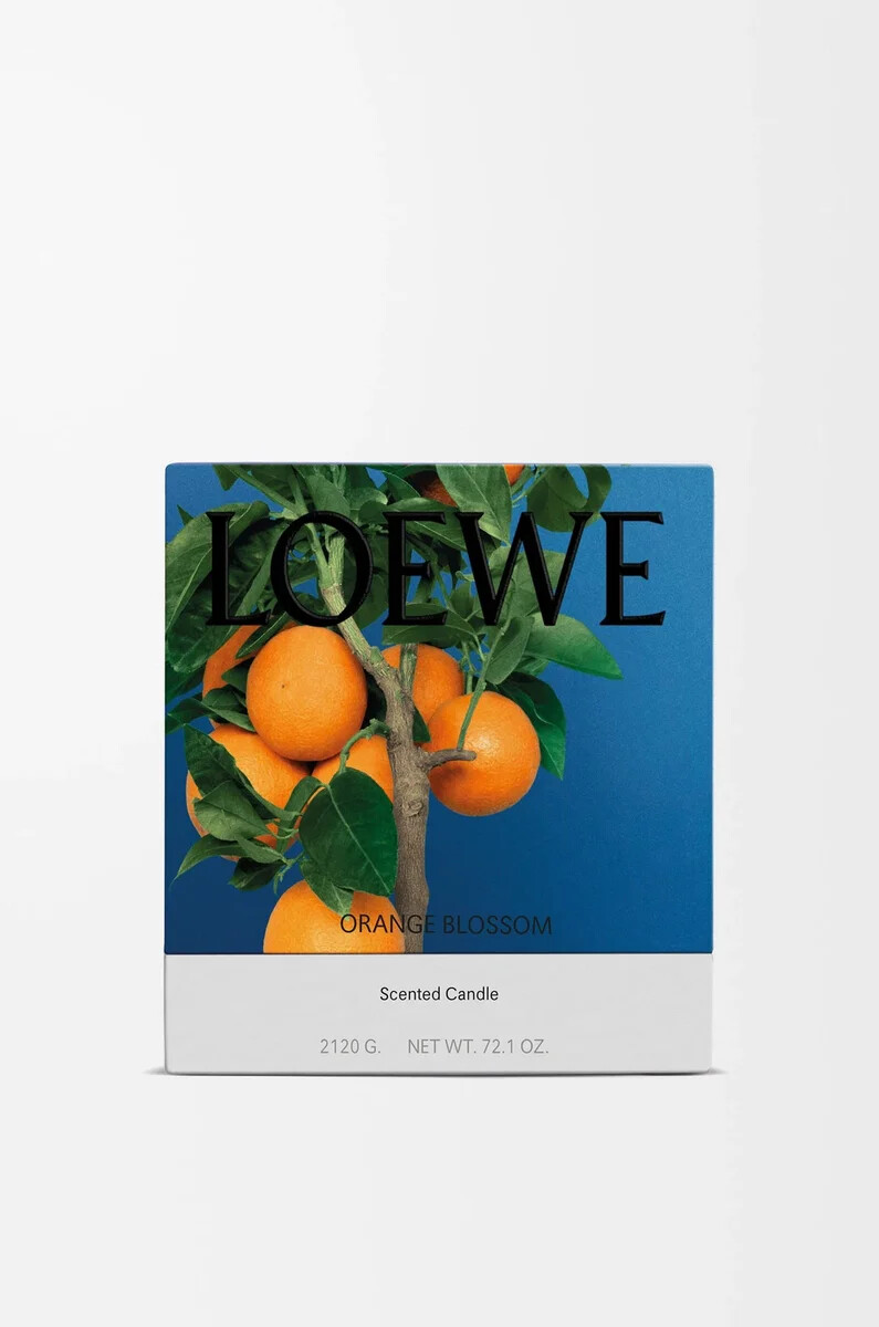 große orangenblütenkerze leuchtendes mandarin