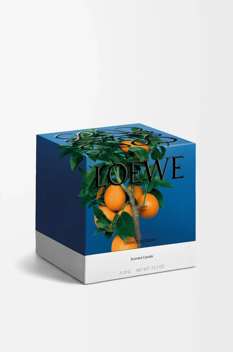 große orangenblütenkerze leuchtendes mandarin