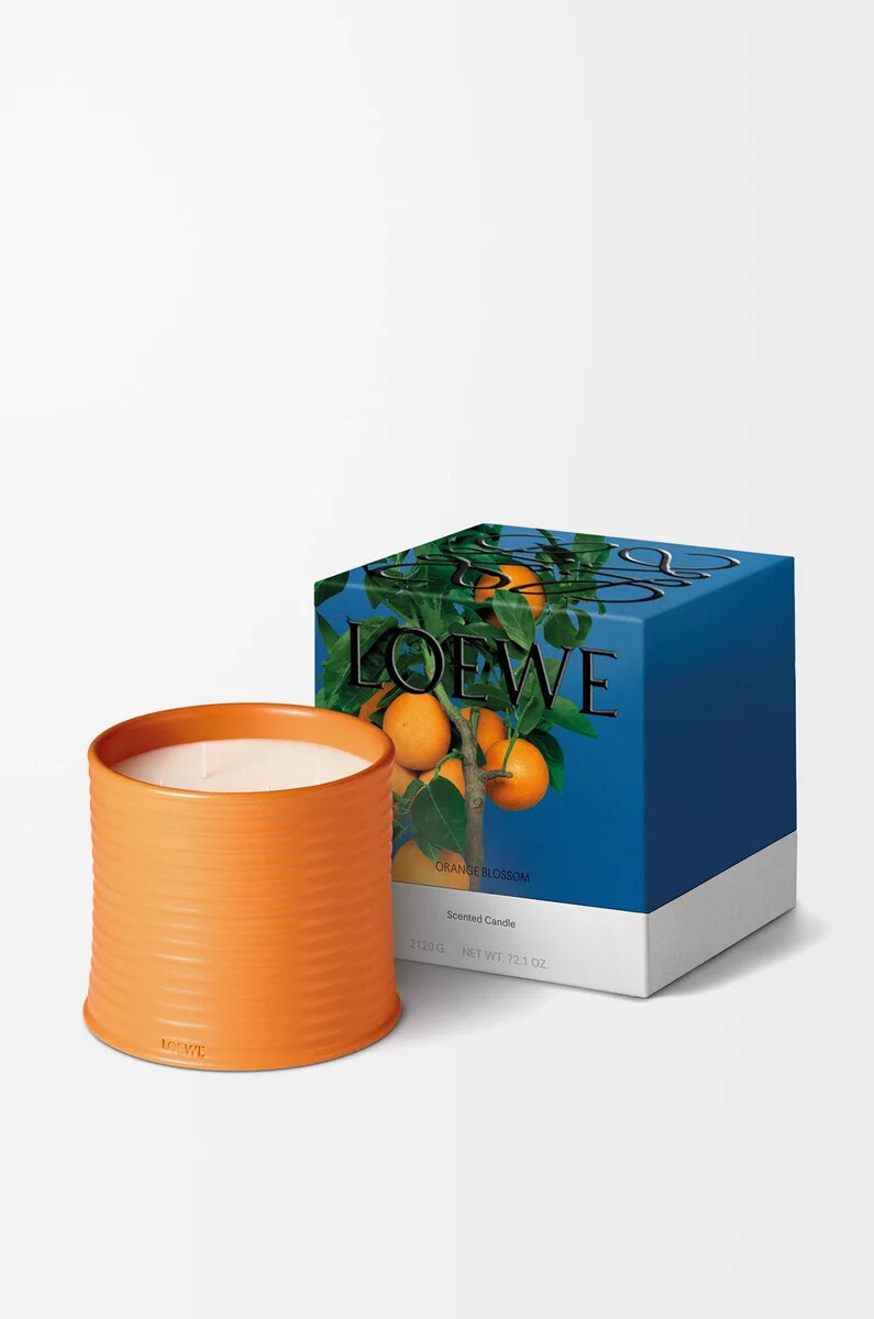 große orangenblütenkerze leuchtendes mandarin