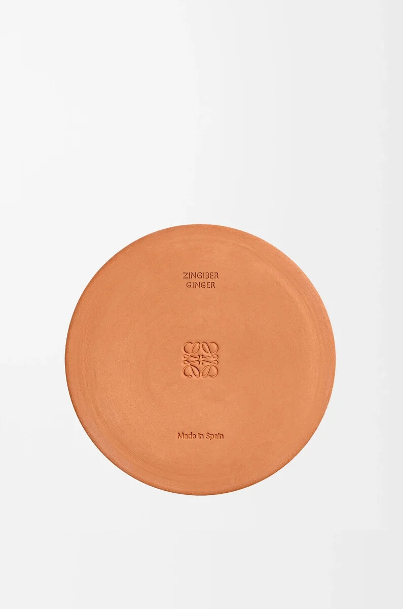 ingwer-outdoor-kerze orange
