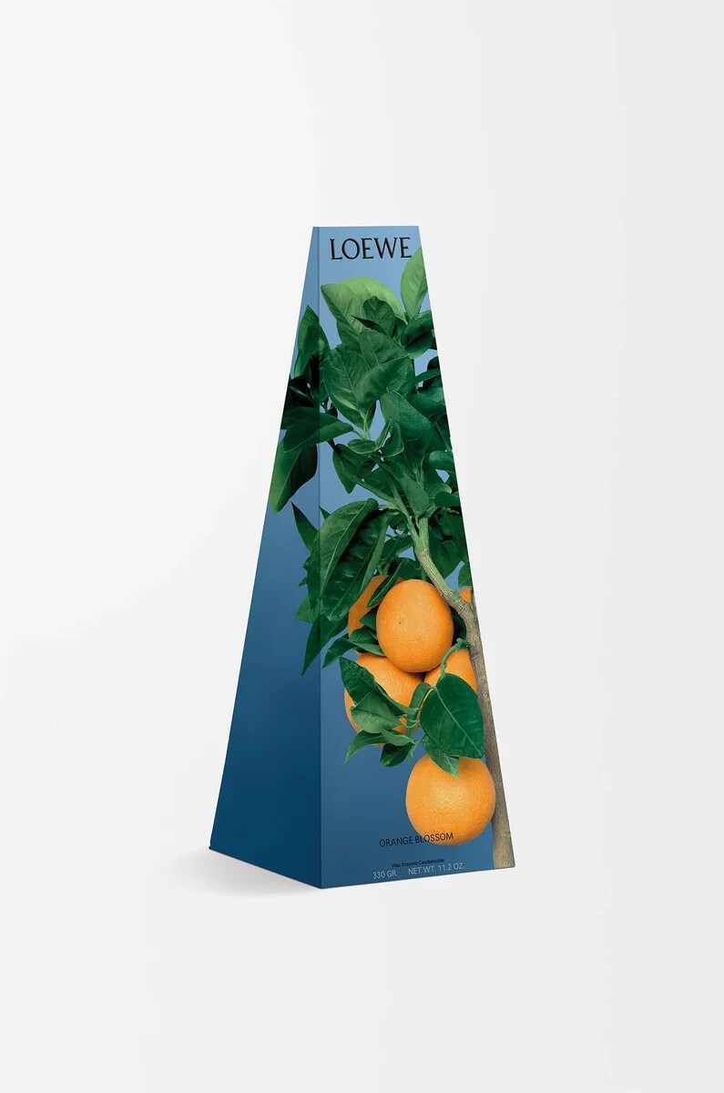 kerzenhalter aus orangenblütenwachs leuchtendes mandarin