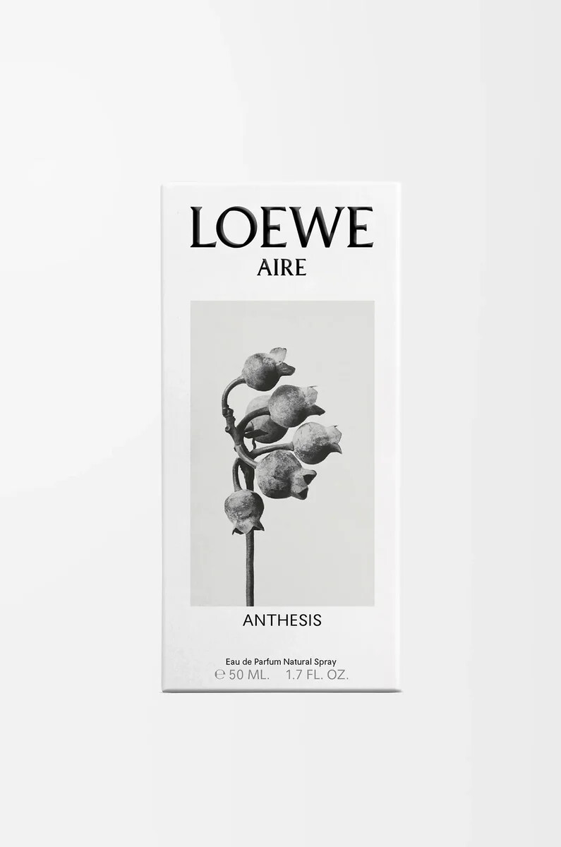 loewe aire anthesis eau de parfum 50 ml farblos