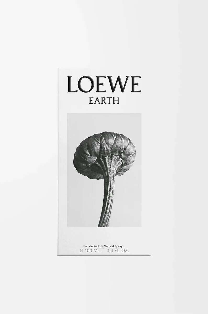loewe earth eau de parfum 100 ml lila