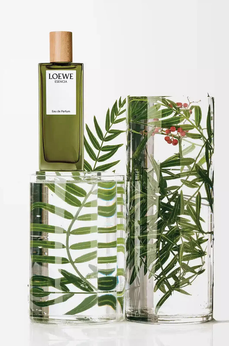 loewe esencia eau de parfum 50 ml farblos